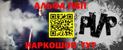 ECSTASY Новозыбков