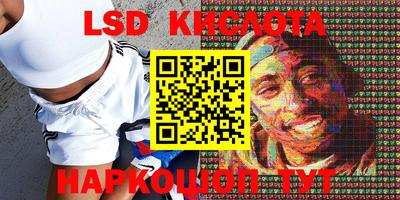 ECSTASY Новозыбков