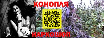 ECSTASY Новозыбков