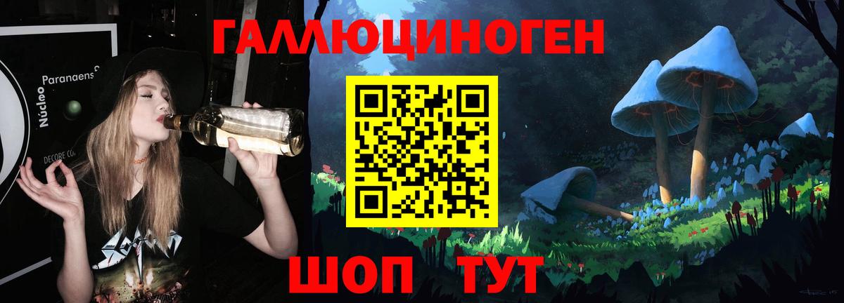 Псилоцибиновые грибы GOLDEN TEACHER Северобайкальск